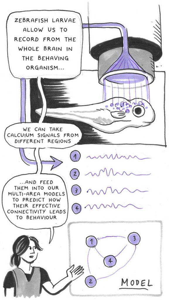 RNN cartoon