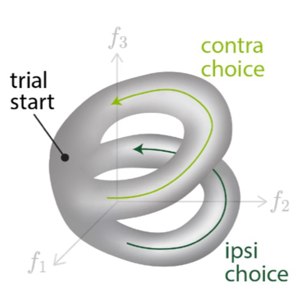 complex manifold