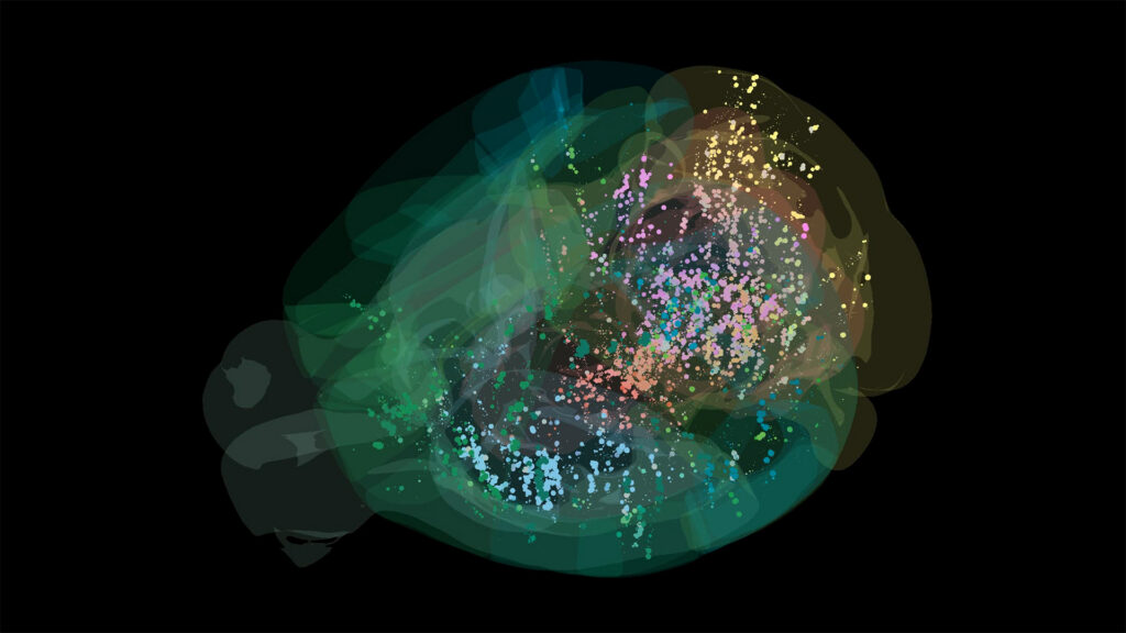 Abstract digital art of a brain with translucent, overlapping shapes in green, blue, yellow, and brown, filled with small colored dots on a black background, representing data visualization or neural activity.