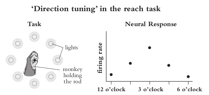 schematic of direction tuning task. The photo is titled 