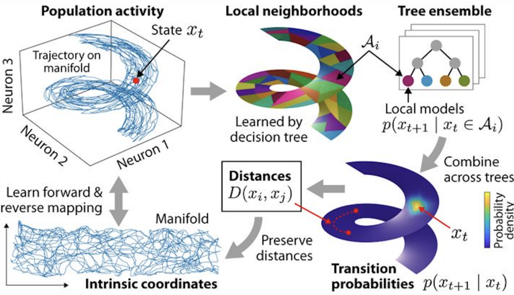 MIND method