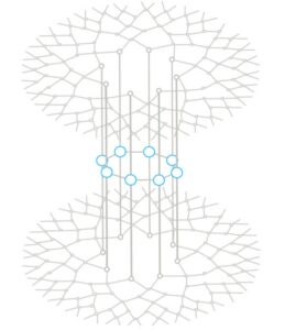 Many_electron_screen