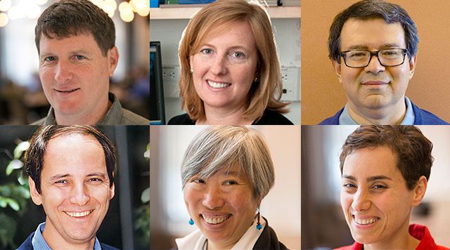 Top row, left to right: Agol, Hoekstra, Klebanov. Bottom row, left to right: Liebler, Liu, Mirzakhani
