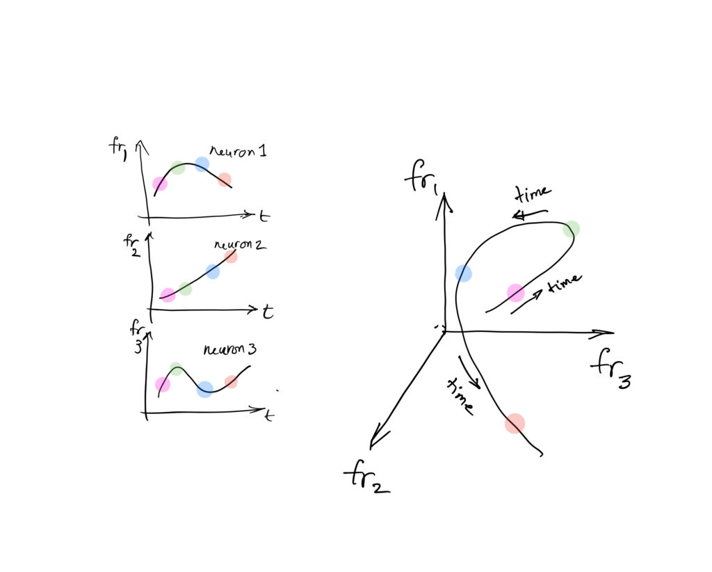 Hand-drawn illustrations of how firing rates of individual neurons change over time.