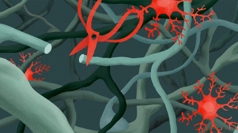 Illustration of microglia cutting synapses