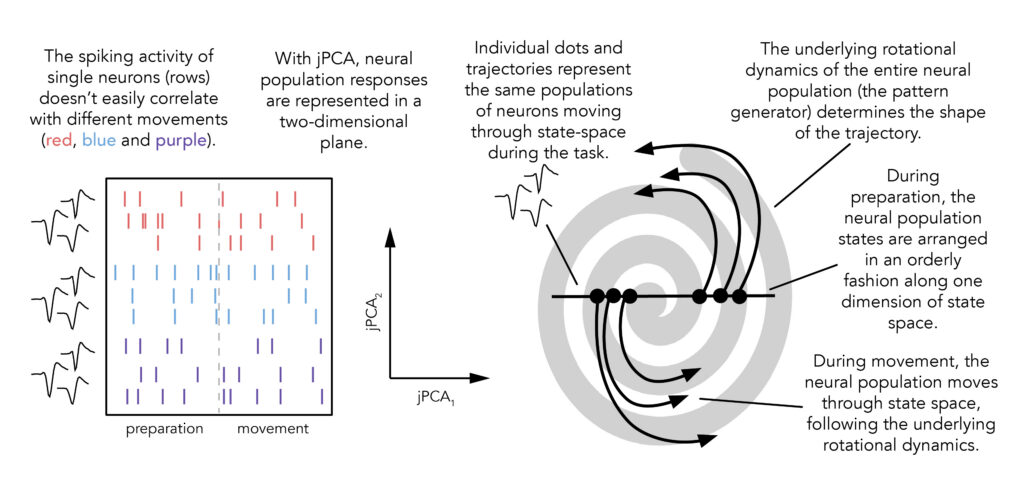 rotational dynamics