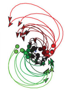Diagram showing curved arrows and circles in red, green, and black, illustrating movement patterns or connections, with red arrows looping upward and green arrows looping downward, converging toward a central cluster.