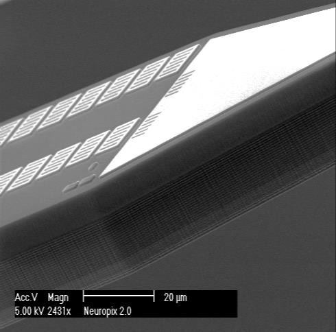 Tip of neuropixels shank. Two rows of text along the bottom reads 