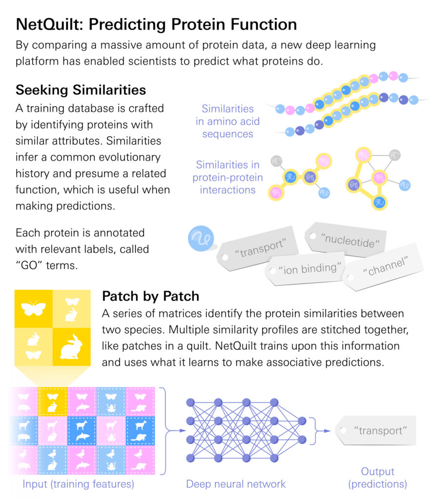 An infographic titled 