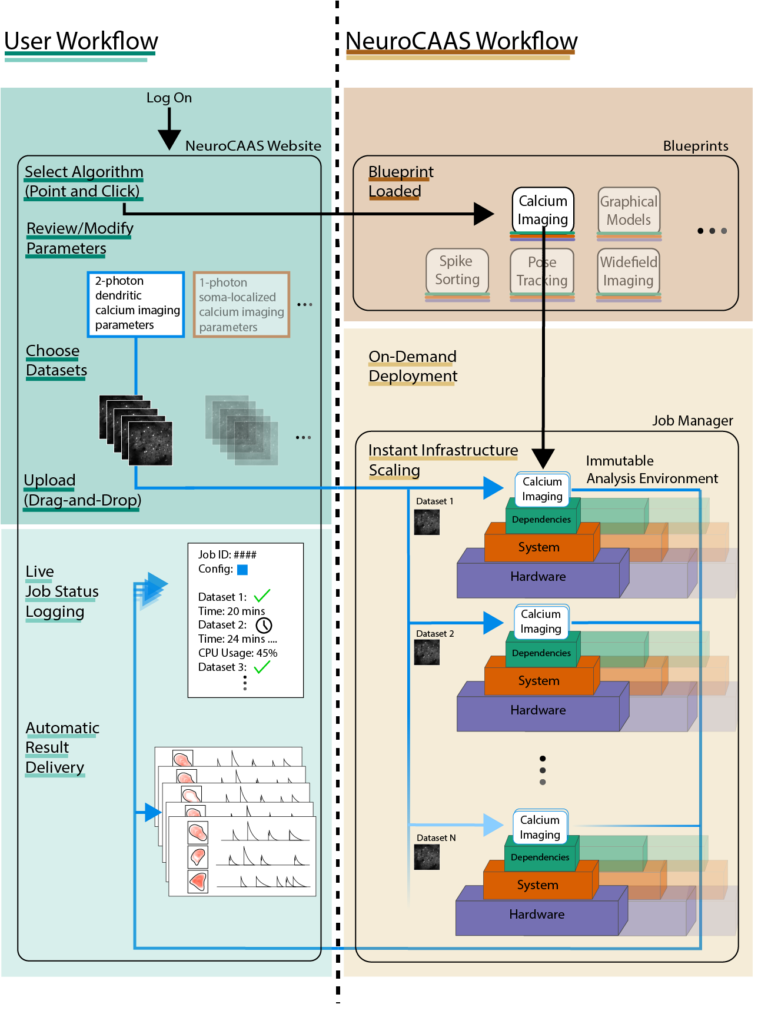 NeuroCAAS workflow