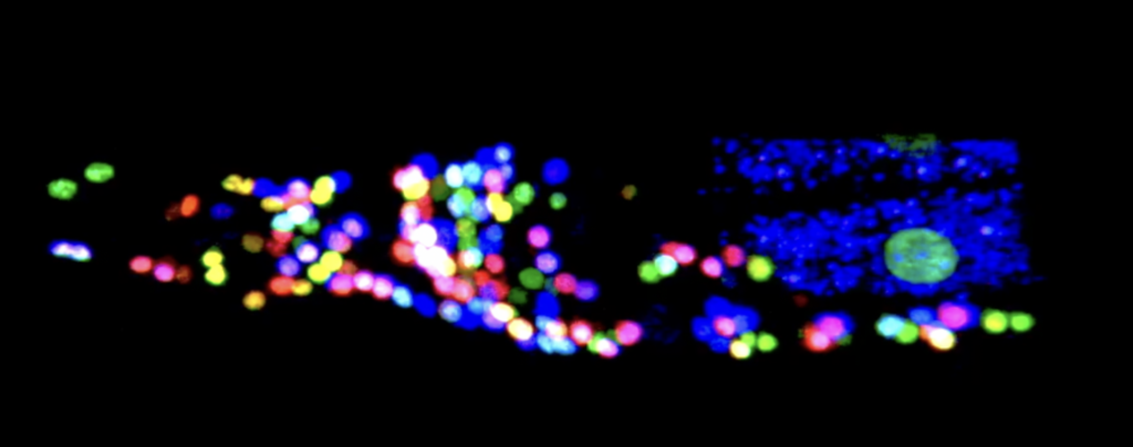 Blurred, colorful lights in blue, green, red, yellow, and pink are scattered across a dark background, creating an abstract, out-of-focus pattern resembling festive holiday or city lights at night.