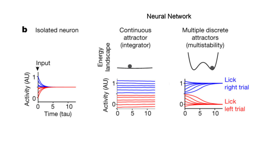Three carts of neural networks: isolated neurons, continuous attractor (integrator) and multiple discrete attractors (multistability)