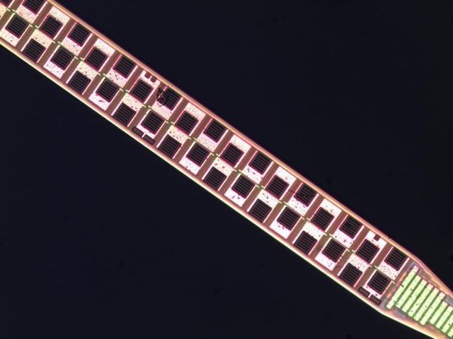 Close-up of a single diatom under a microscope, showing a long, thin, rectangular shape with a patterned surface made of repeating squares and pinkish hues against a dark background.