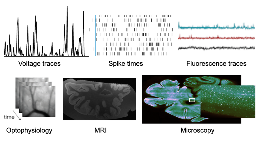 A collage shows: voltage traces, spike times, and fluorescence traces above; below are optophysiology, MRI, and microscopy images of brain tissue, showing different neural measurement techniques.