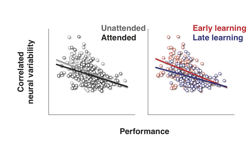 Two graphs showing decreasing correlation among neurons corresponds to better performance during both attention (left) and learning