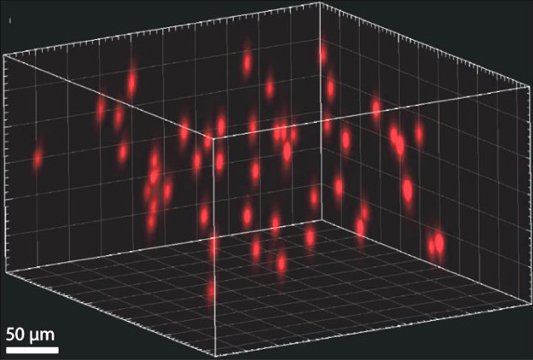 A hologram made up of 50 points of light (red), generated using 3D-SHOT, can trigger activity in 50 targets