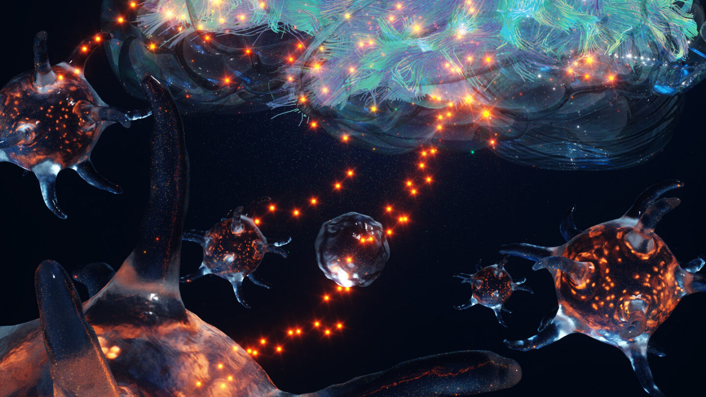 Blood platelets releasing orange factor to the brain