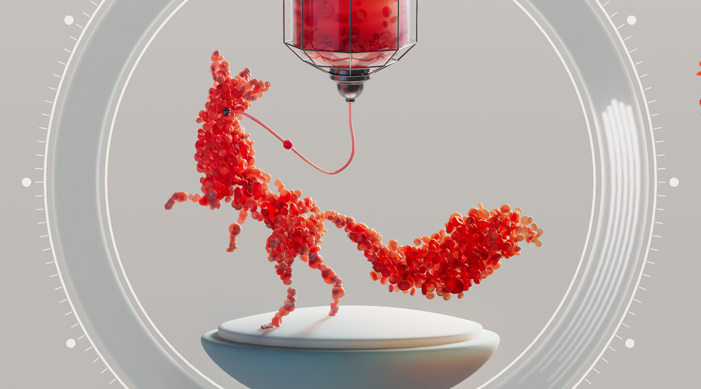 animals at different ages receiving blood transfusion