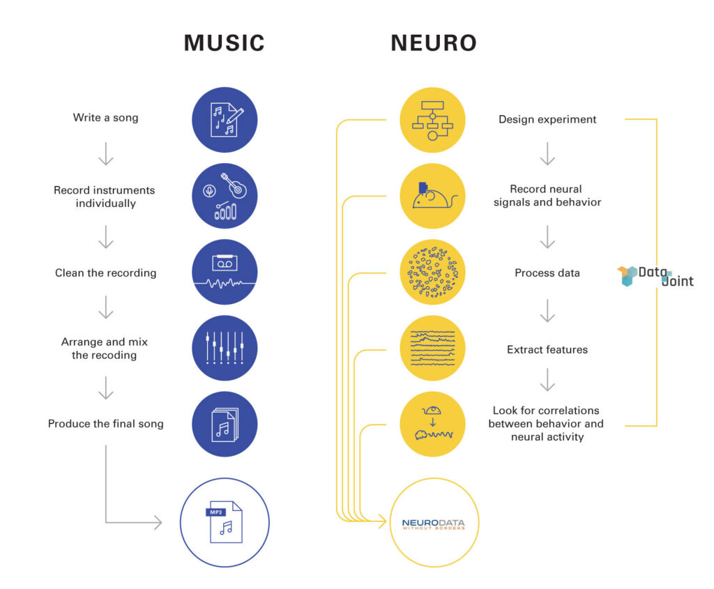 Music and neuroscience pipelines