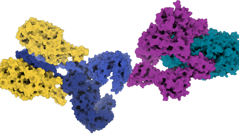 yellow and blue protein complex on left with pink and teal protein complex on right