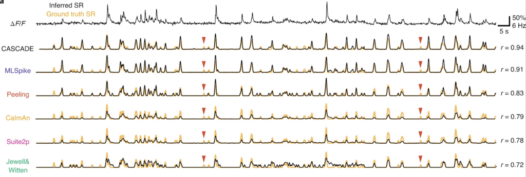 calcium imaging plots