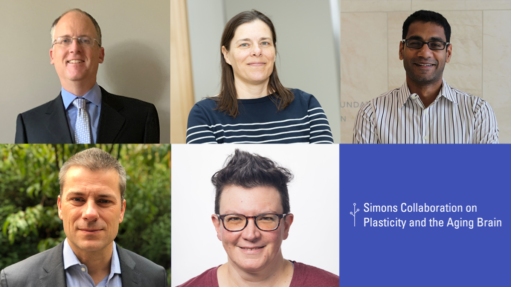 Collage of five professionally dressed individuals smiling, next to a blue square with white text: Simons Collaboration on Plasticity and the Aging Brain and a small tree-like logo.