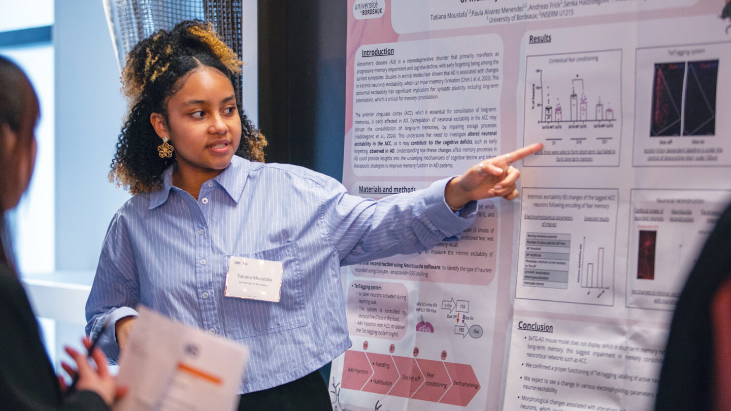Presentation at the 2025 SURFiN symposium.