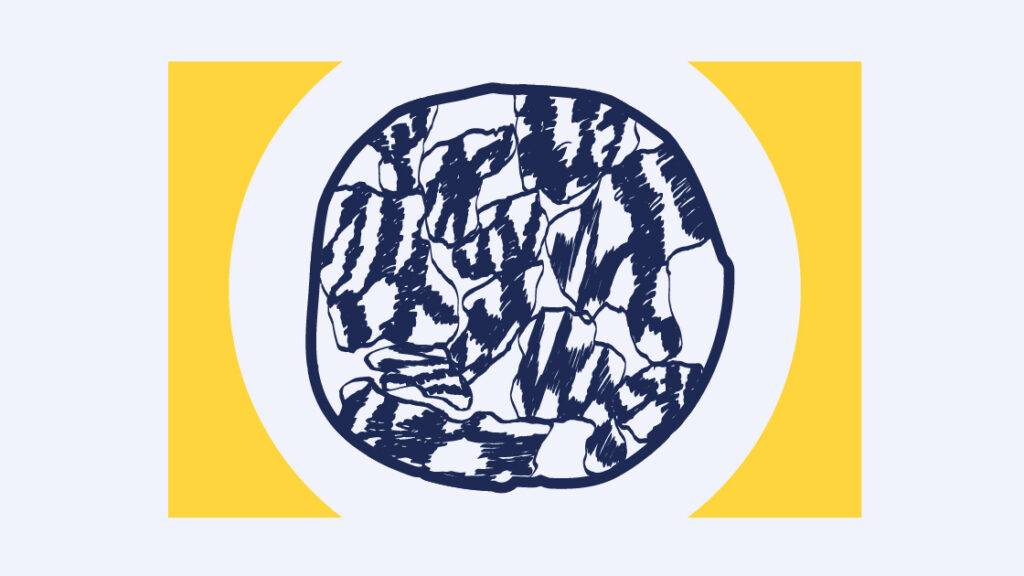 Spotlight illustration for SFARI.