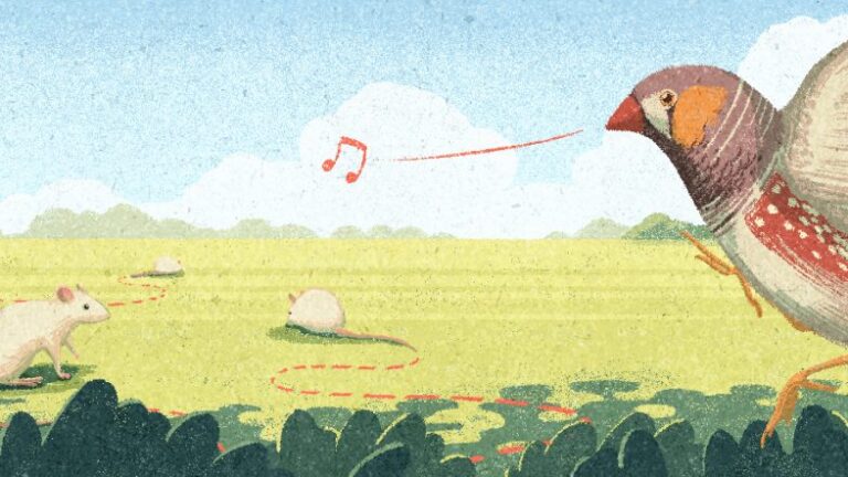 Two birds with red markings exchange notes in flight, while two white mice explore a grassy field below, surrounded by green bushes and trees under a blue sky.