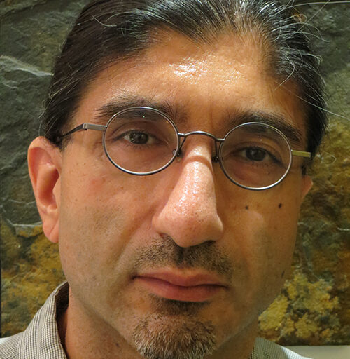 Portrait photo of Maneesh Sahani
