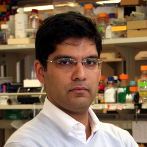 Portrait photo of Sandeep Robert Datta