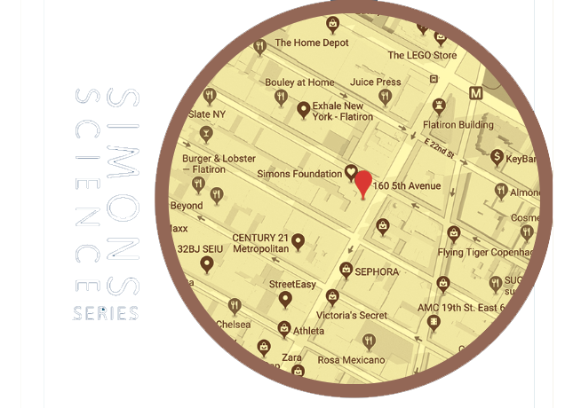 A map highlights Simons Foundation at 160 5th Avenue in New York City, showing nearby stores and landmarks, including Sephora, The LEGO Store, and The Home Depot.