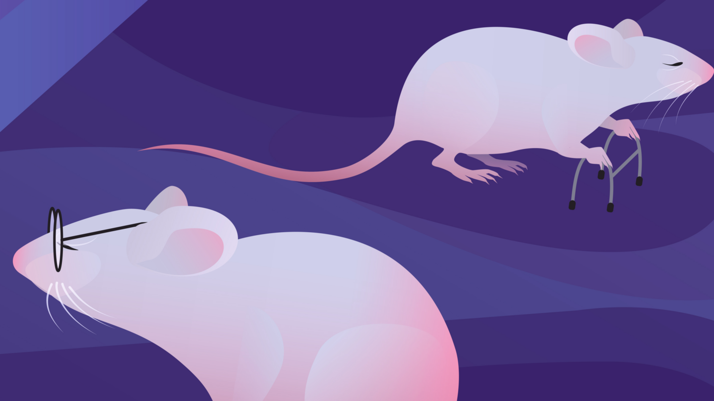 mouse wearing glasses and mouse with a walker