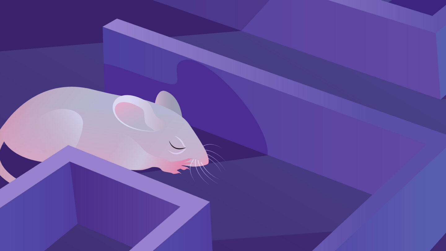 drawing of three old mice in a maze