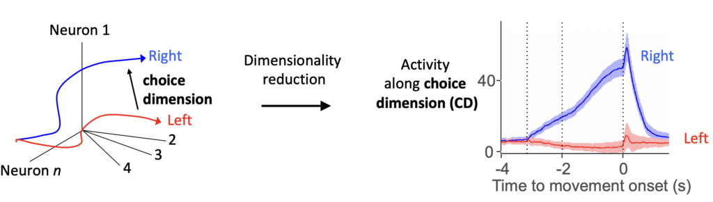 neural population activity