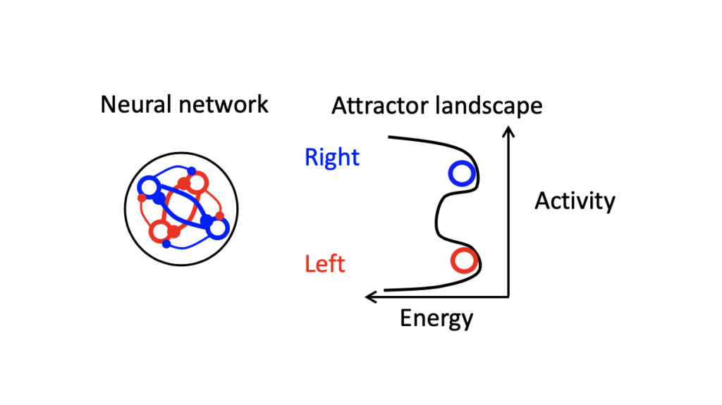 Attractor network diagrams