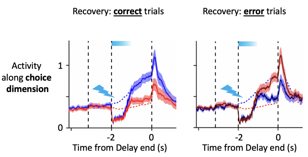 neural activity after perturbation