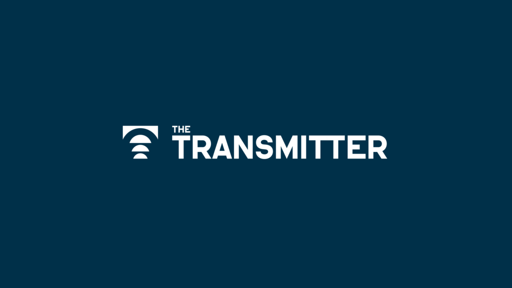 White text on a dark blue background reads THE TRANSMITTER with a logo of three curved lines under a bar, resembling a wireless signal, to the left of the text.