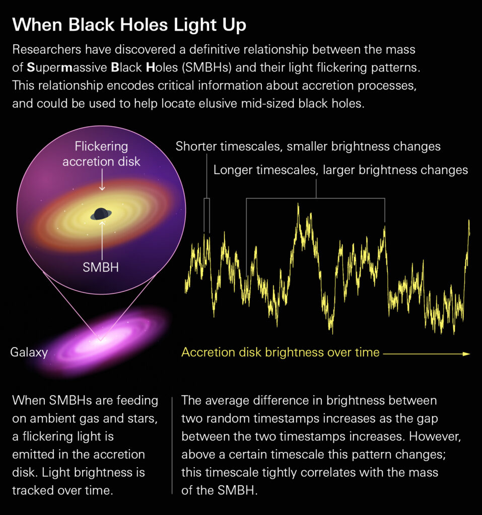 An infographic about the 