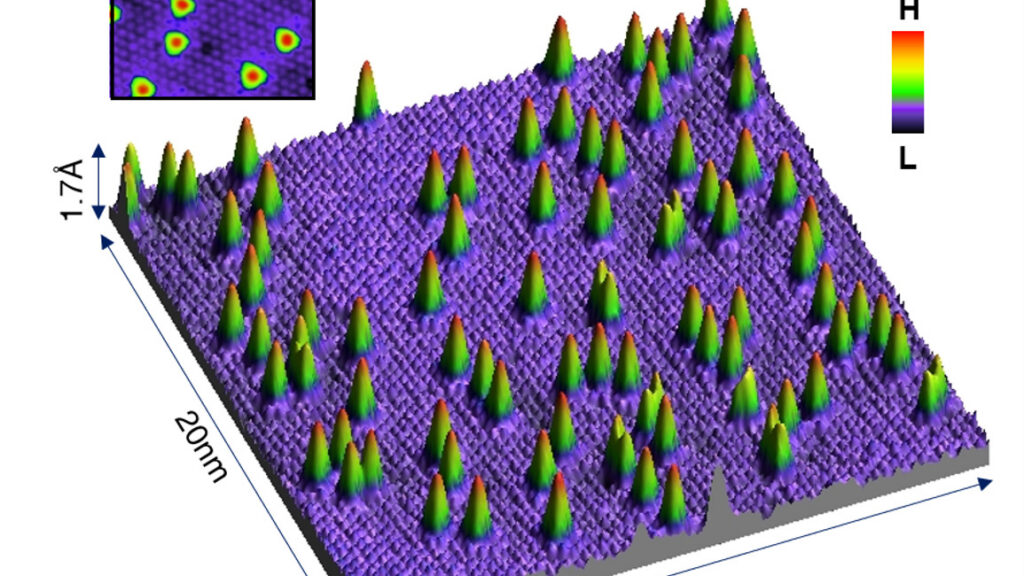 Scanning tunneling microscopy (STM) image of magnetic adatoms deposited on topological superconductor candidate PbTaSe2. Inset: a 2D enlarged view. Each magnetic adatom can host a Majorana zero mode acting as a topological qubit which has the potential to be used for robust quantum computation