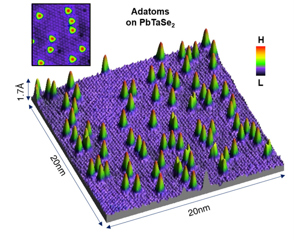 Scanning tunneling microscopy (STM) image of magnetic adatoms deposited on topological superconductor candidate PbTaSe2. Inset: a 2D enlarged view. Each magnetic adatom can host a Majorana zero mode acting as a topological qubit which has the potential to be used for robust quantum computation