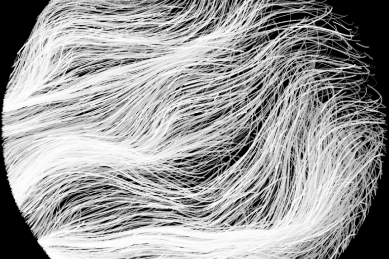 White, wavy, hair-like strands flow in parallel curves within a circular frame on a black background, creating an abstract, textured pattern.