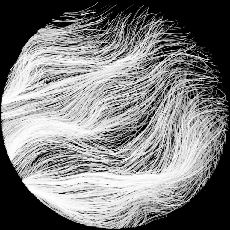 White, wavy, hair-like strands flow in parallel curves within a circular frame on a black background, creating an abstract, textured pattern.