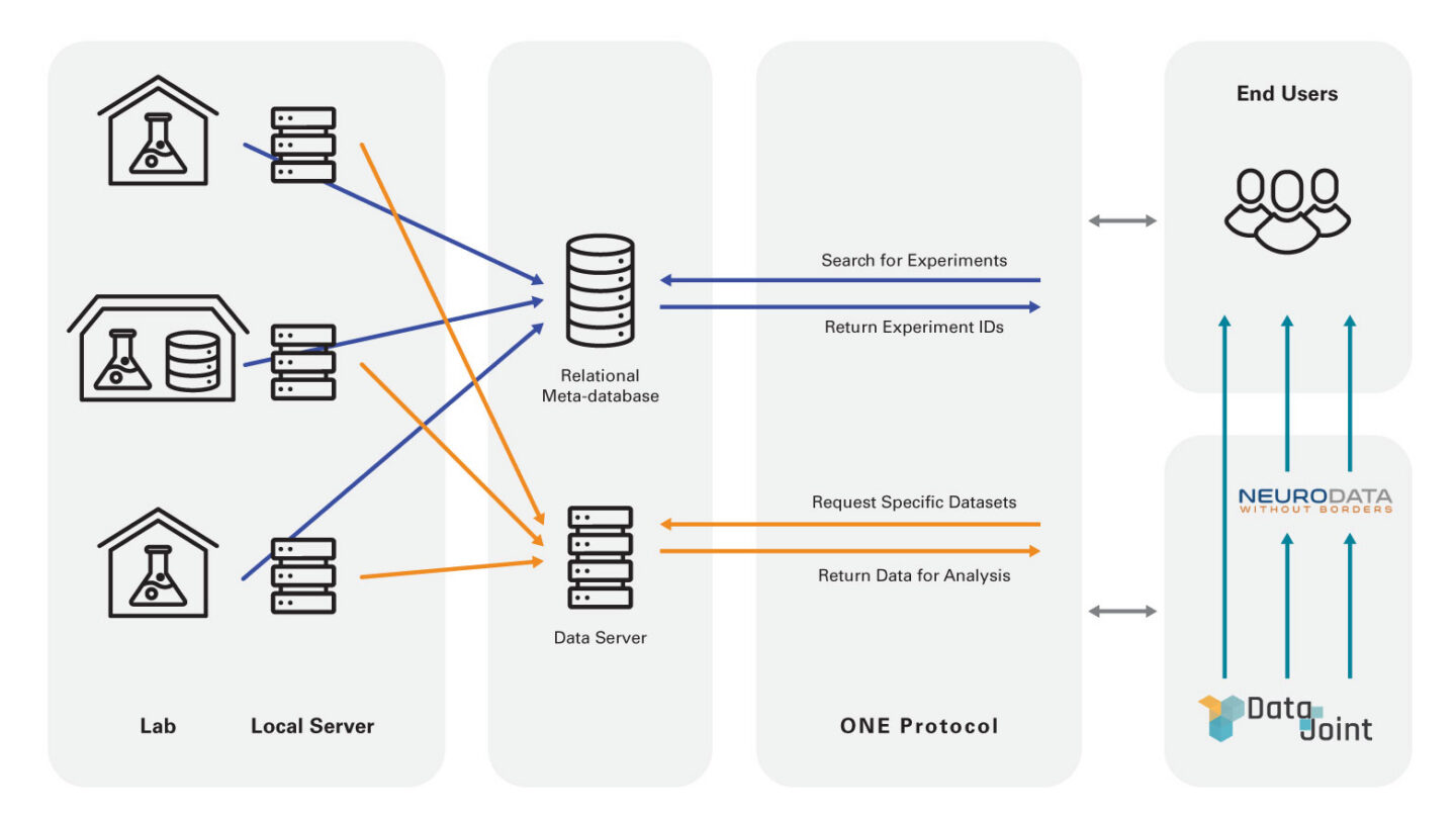 Infographic of neuroscience data sharing