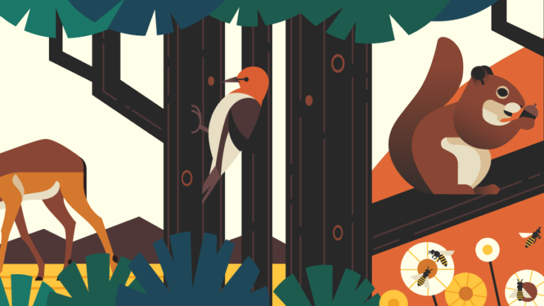 illustration of many different animals foraging