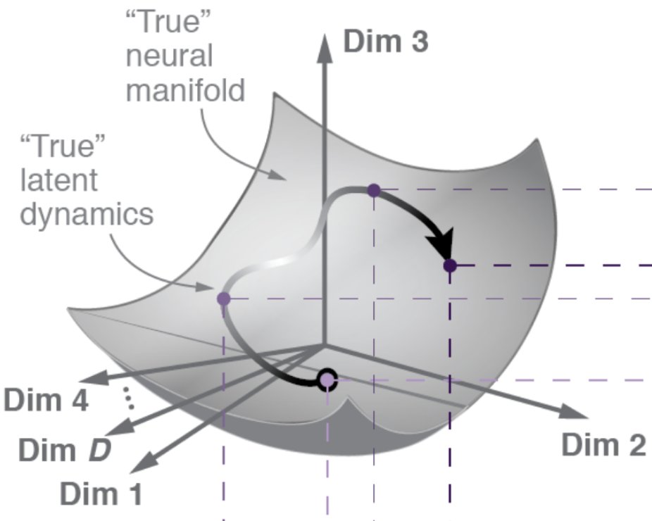 neural manifold