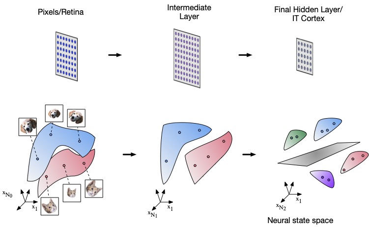 Conceptual illustration showing how layers of sensory hierarchy transform 