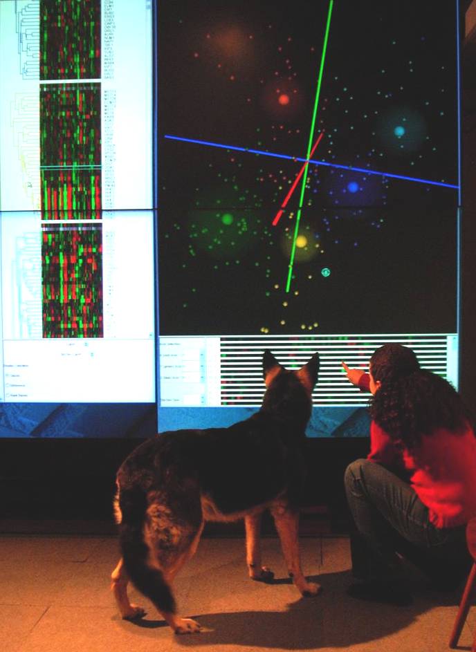 A person kneels beside a dog, both looking at a large screen displaying colorful scientific data, graphs, and charts with lines and dots.
