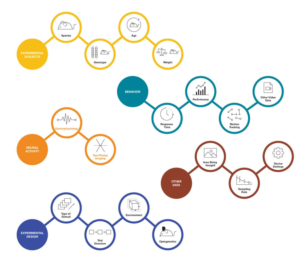 Neural data graphic