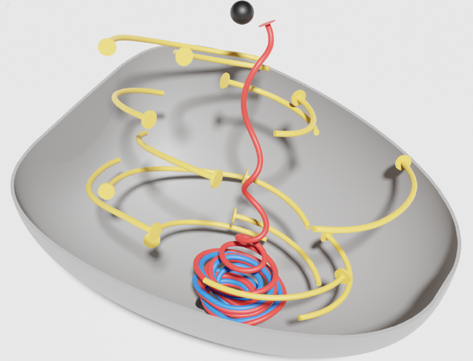 A gray dish holds abstract yellow spirals and a twisting red and blue structure rising toward a small black ball hovering above the center.